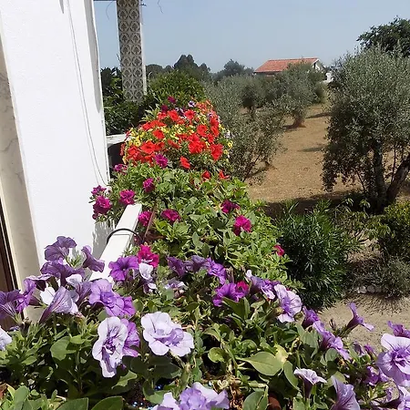 Apartamento Vale Maceira * Lousã